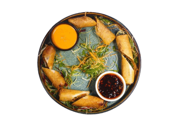 Veg Spring Roll-10pcs